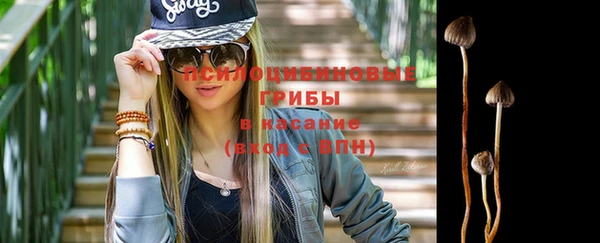 сатива Баксан