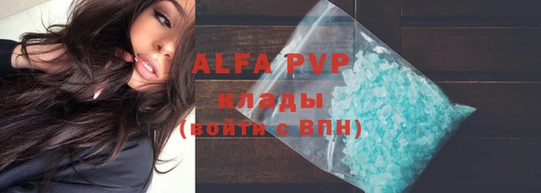 сатива Баксан