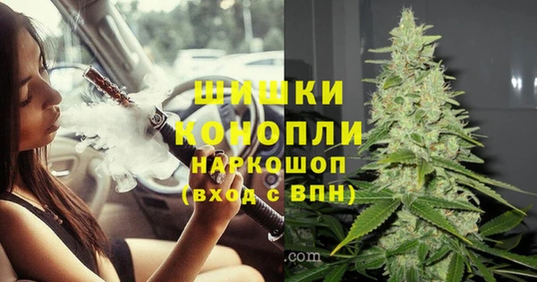 бошки Балахна