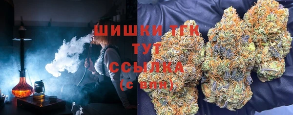 сатива Баксан