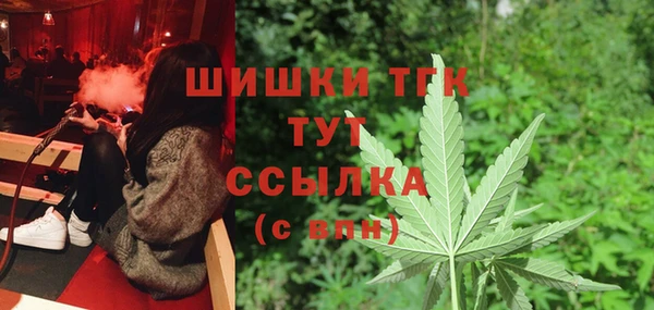 сатива Баксан