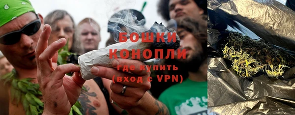 сатива Баксан
