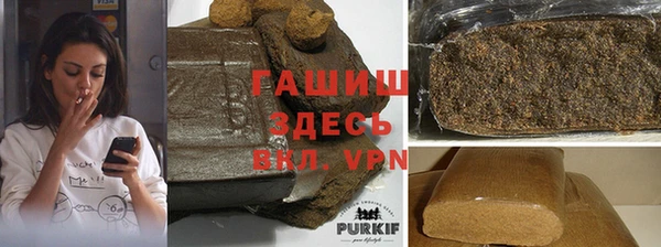 гашик Бородино