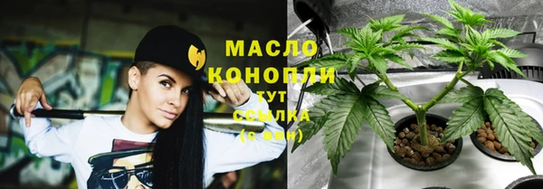 сатива Баксан