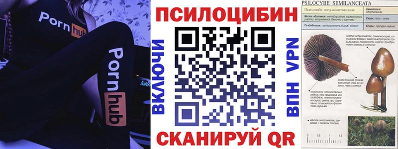 Псилоцибиновые грибы Magic Shrooms  Купить где  Мценск 